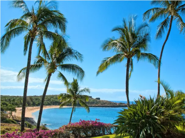 Best Time to Visit Hawaii