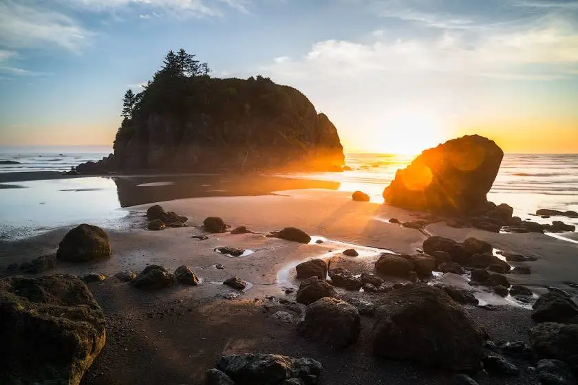 Things to do in Olympic National Park